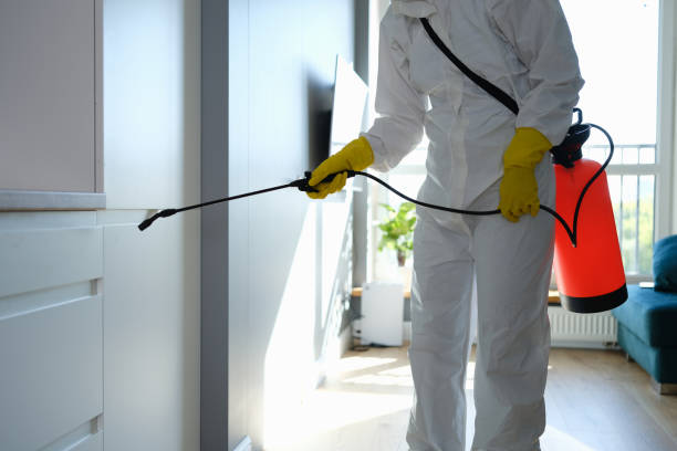 Best Industrial Mold Remediation in Thayer, MO