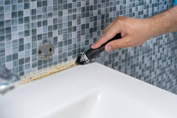 Best DIY Mold Remediation Support Services in Thayer, MO